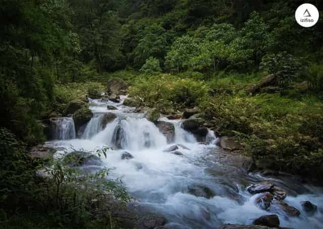 Gurdum Singalila Camp himalaya Snow Forest Camping Bengal Sandakphu 