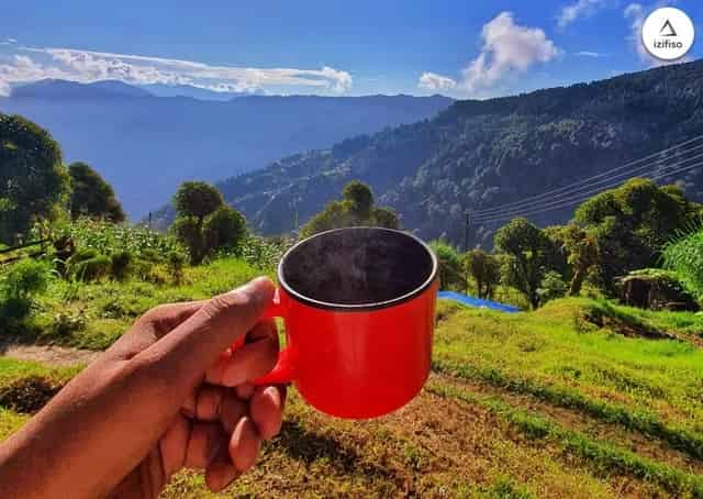 Gurdum Singalila Camp himalaya Snow Forest Camping Bengal Sandakphu 