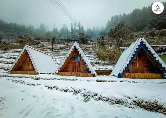 Gurdum Singalila Camp himalaya Snow Forest Camping Bengal Sandakphu 