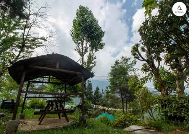 Palmajua experiential stay