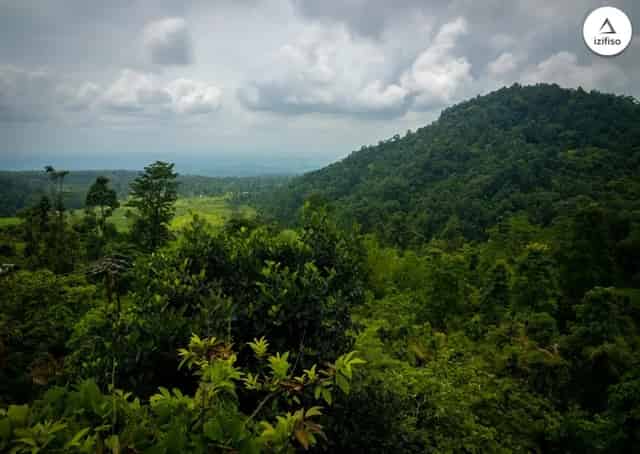 Suntaleykhola Homestay