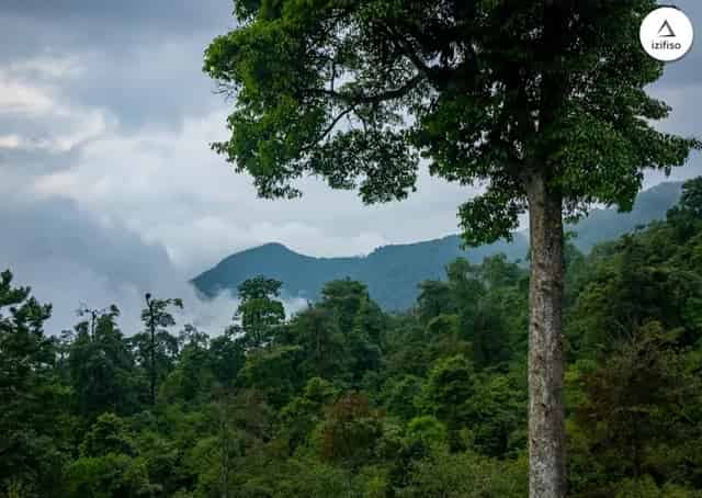  Sillery Gaon Homestay