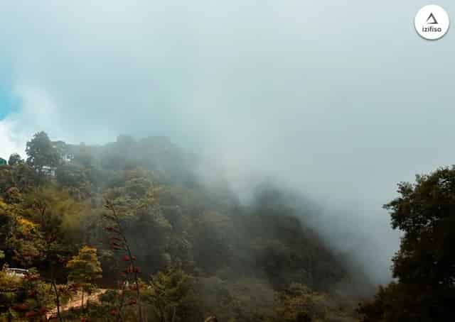 view from Sunview Kanchan Homestay