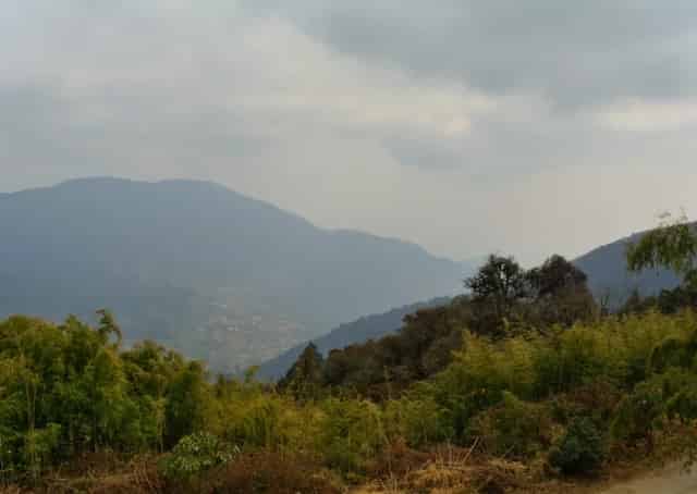 View from Hilley Homestay
