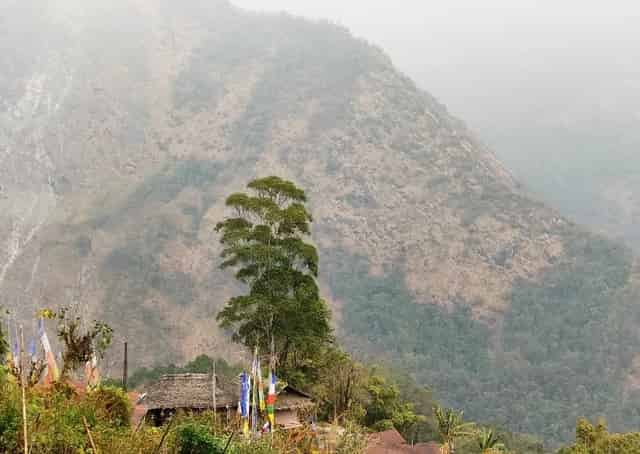 View from Lingthem homestay@izifiso