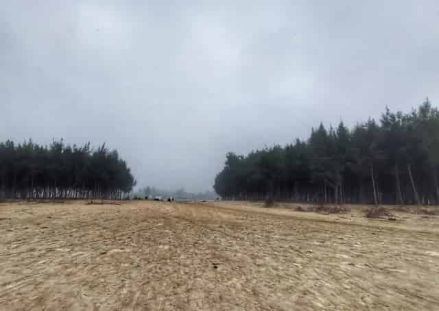 jhau jungle Jamunasul Beach Camp