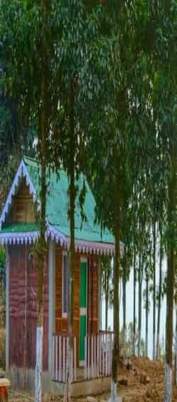 Dalimtar rooms inside the forest area. 