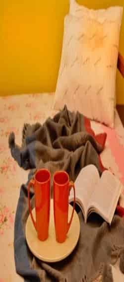 Room Interior at Dalimtar homestay 