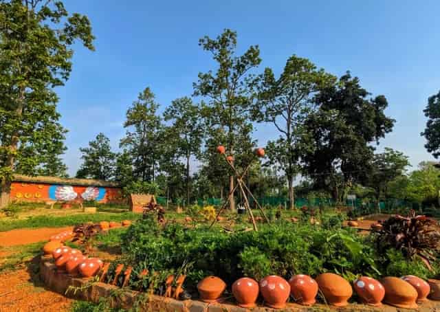 Garden at Brindabanpur Eco stay 