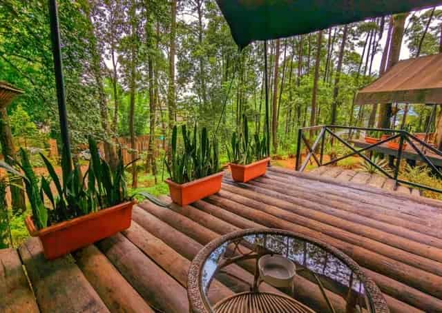 Nature view at Umiam Lake Eco Stay