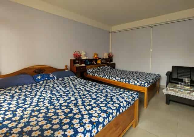 Room interior at Cherrapunji Homestay