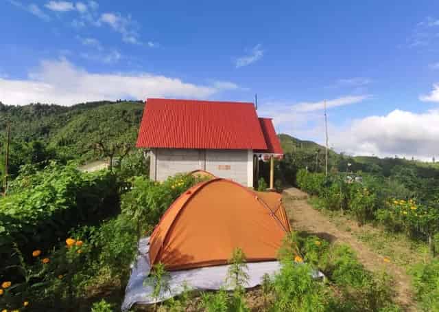 Ahaldara Homestay