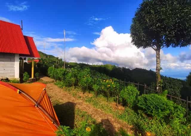 Ahaldara Homestay