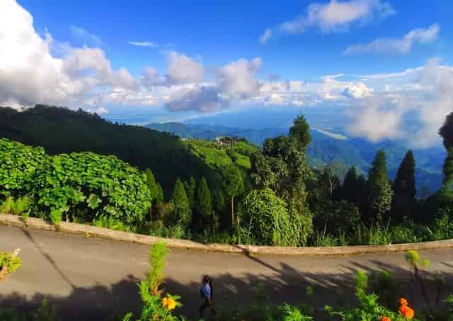 view from ahaldara homestay
