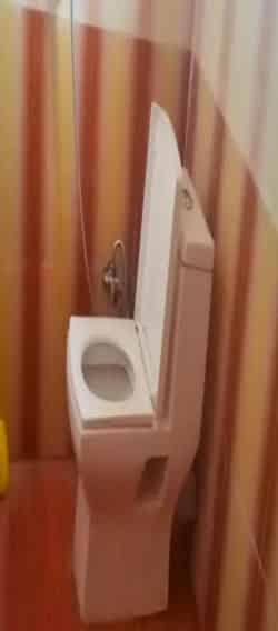Washroom at Tinchuley Homestay