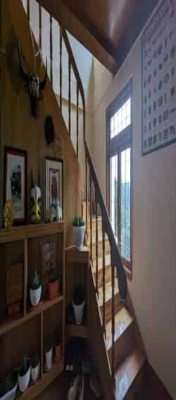 Interior decoration, tawang Homestay
