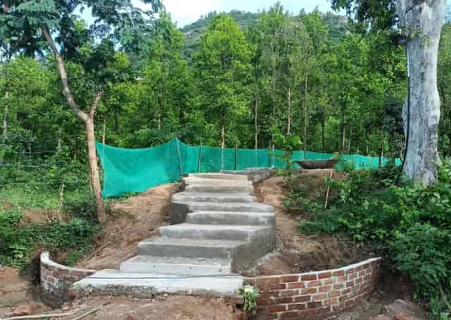forest surrounding Sonkupi Eco Stay campus