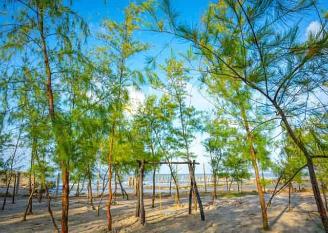 Eco park beside Bakkhali camping ground