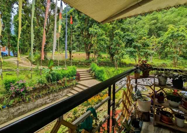 The Lush Greenery view from Pelling Homestay Balcony