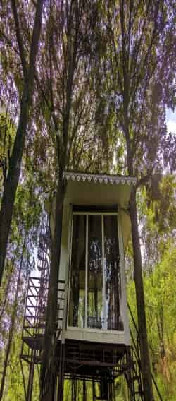 Tree House at Ravangla Eco Stay