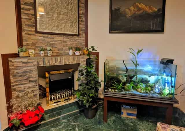 Common Seating Area at Gangtok Homestay