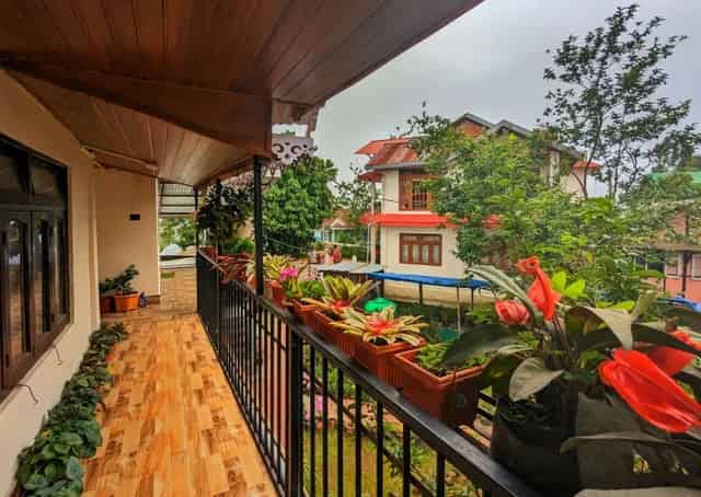 View from Delo Homestay Balcony