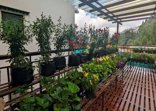Garden area at Padamchen Resort