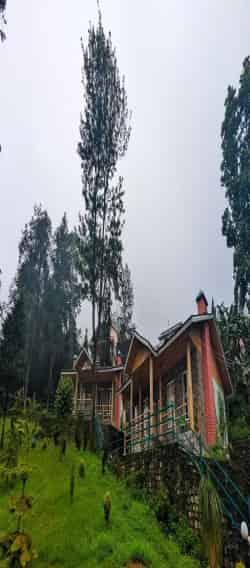 Exterior at Lampokhri Resort