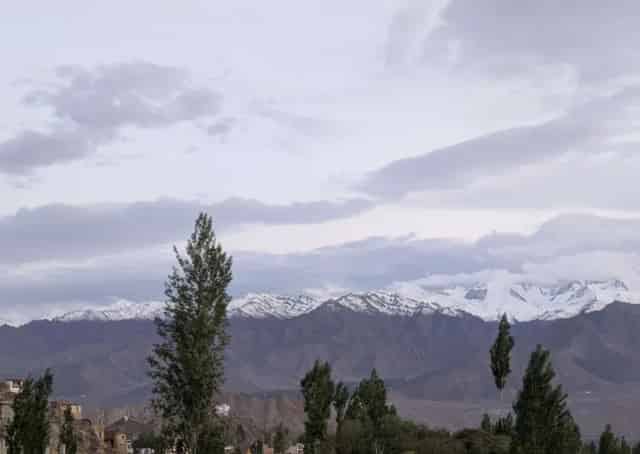 Mountain View From Leh Homestay
