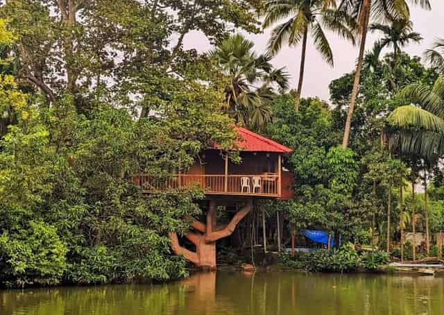 Baruipur Eco Resort Tree House