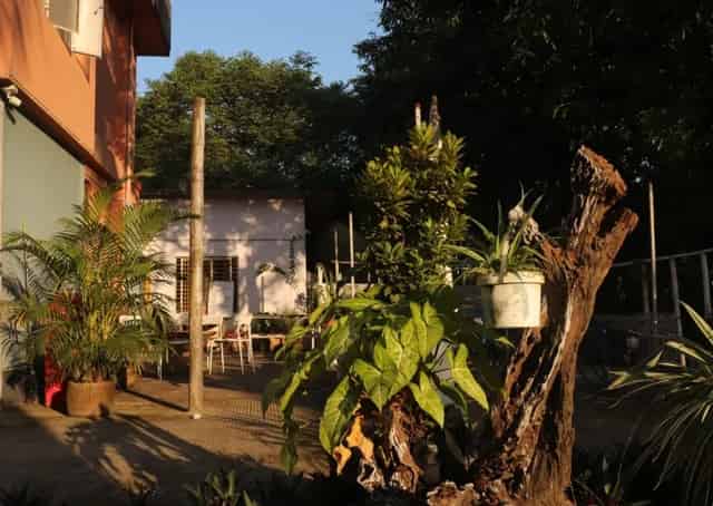 Garden area at Siliguri Homestay