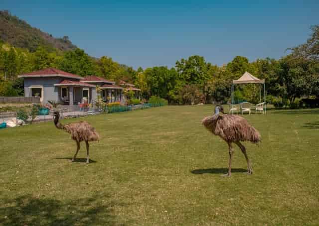 Khairabera Resort Campus