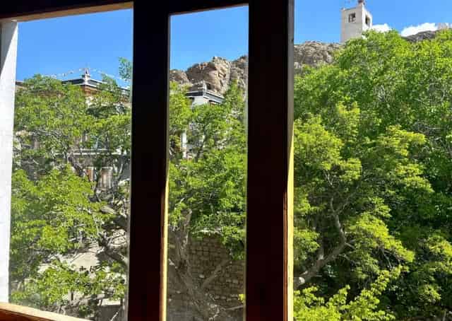 Alchi Retreat Mountain View From Room 