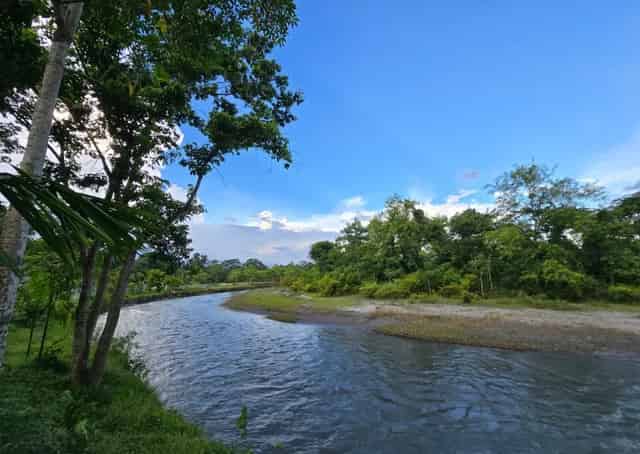 View from Jaldapara Retreat