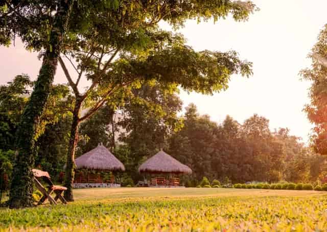 Kaziranga Resort Campus 