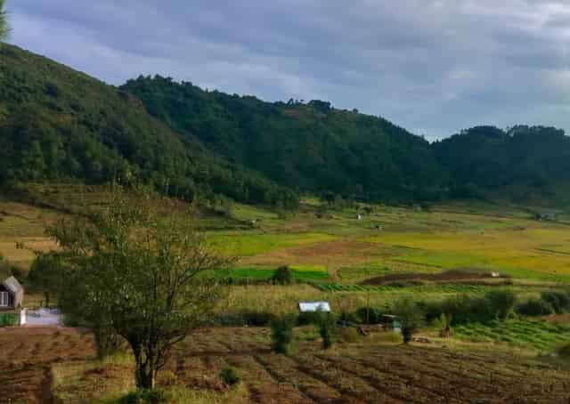 Mawphlang Eco Stay OutSide