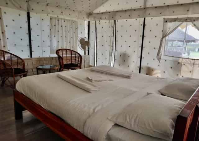 Nameri Eco Stay Swiss Tent Interior