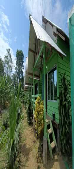 Roing Homestay Campus
