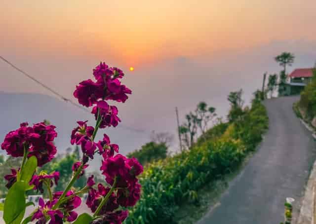 View From Fikkalaygaon Homestay