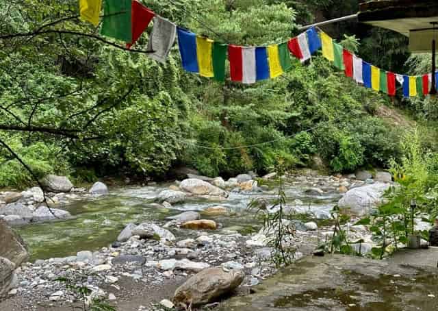 River view from Tandi Homestay