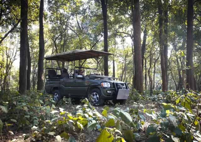Exploring Jim Corbett: The Jeep Awaits