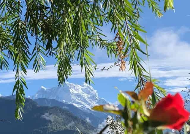 Mountain View From Guptkashi Resort