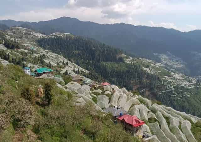 Mountain View From Narkanda Retreat 