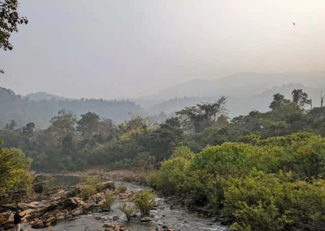 Nature view near Similipal Eco Stay
