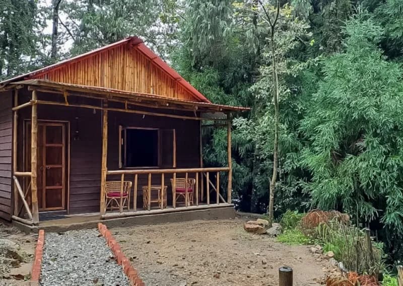 Tiger Hill, Sonada, Forest Stay, Homestay Darjeeling 