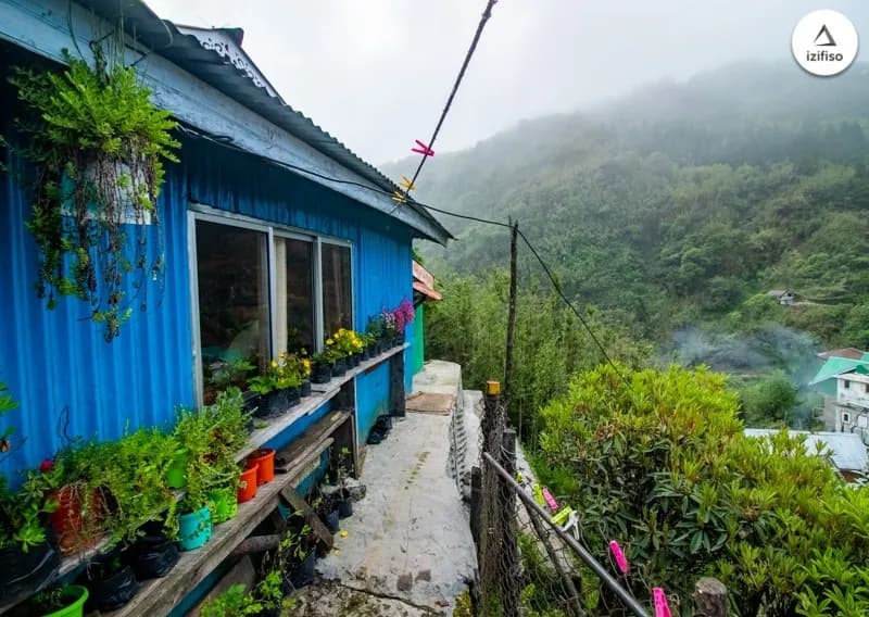 Sandakphu , Phalut, Aal, Aahl, Trek, Tumling Camping 