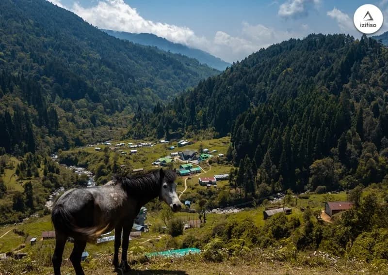  Gorkhey experiential stay