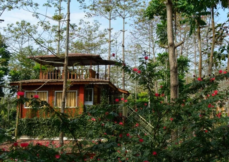 Jaldapara Cottage@izifiso