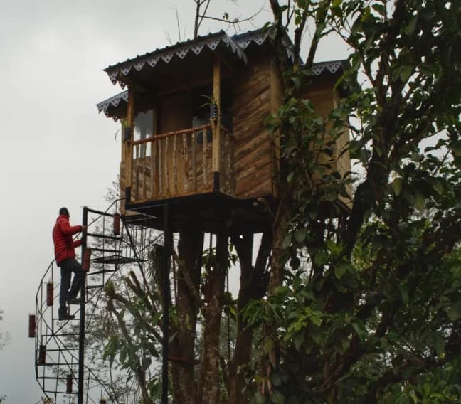 Tree house at Dalapchand homestay