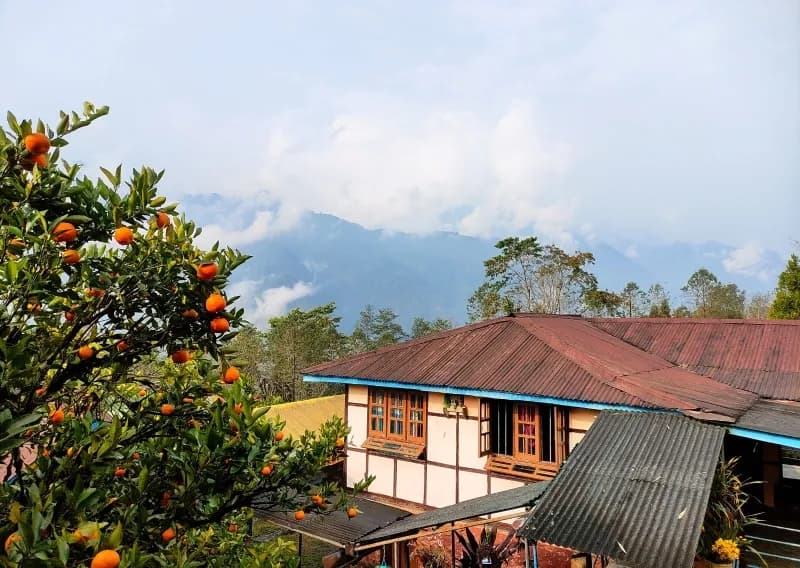 Tingbong Homestay